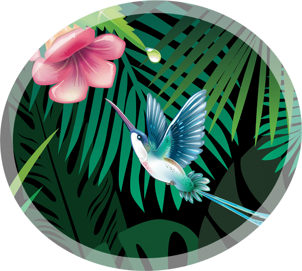 Nuway colibri cbd